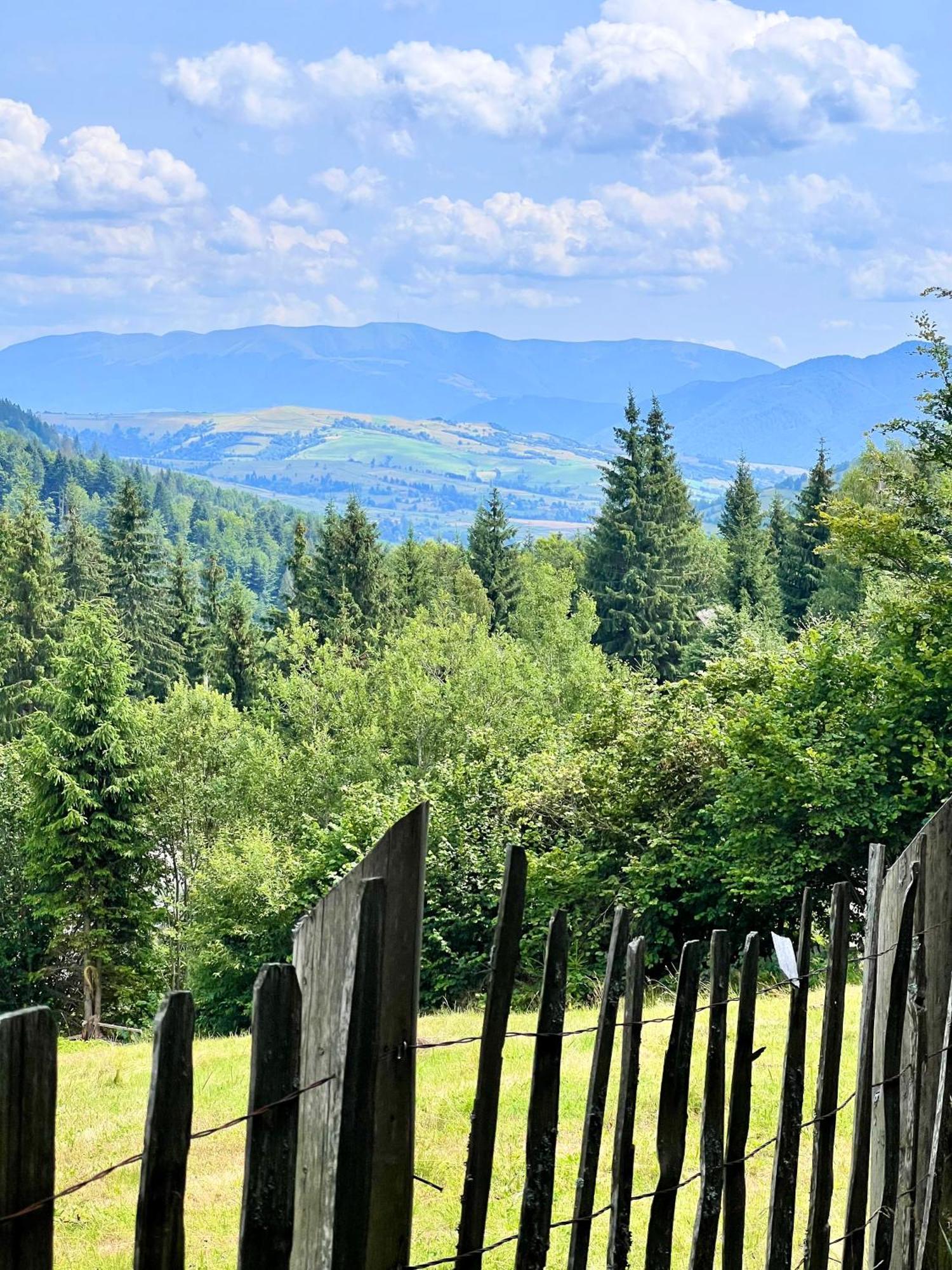 Садиба Between Mountains Mizhhirya  Exteriér fotografie